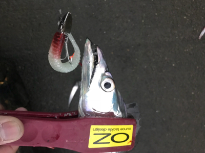 何にでも反応が良かった。