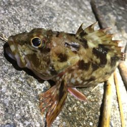 向かい風も何のその。