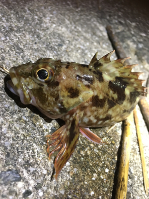 向かい風も何のその。