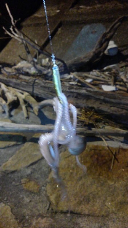 アジング？？五目釣り！？