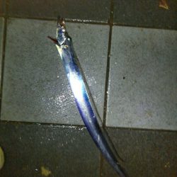 三連休初日の朝釣行