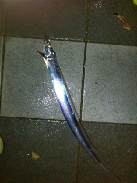 三連休初日の朝釣行