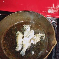 アイナメげっと