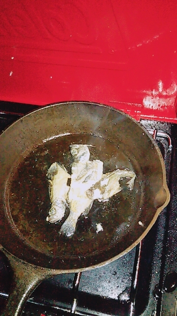 アイナメげっと