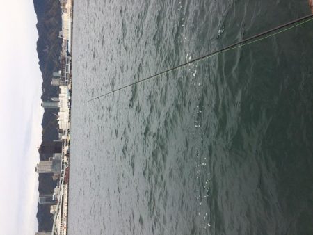 サゴシそれなり