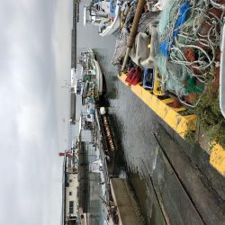 去年の面影なし