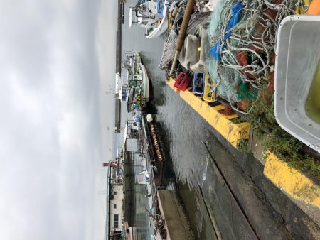 去年の面影なし