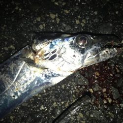 地合いが過ぎると