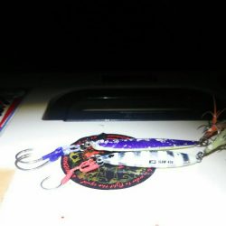 暴風の中、ジグでタチウオ