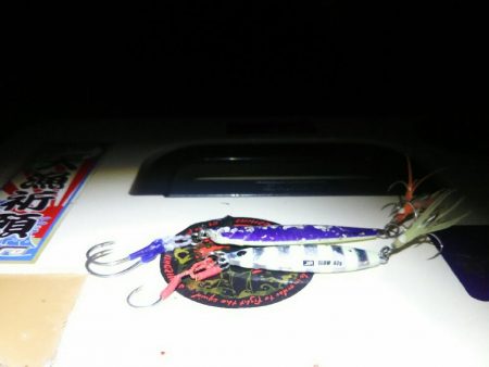 暴風の中、ジグでタチウオ