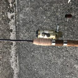 サイズダウンしてますが入れ食い