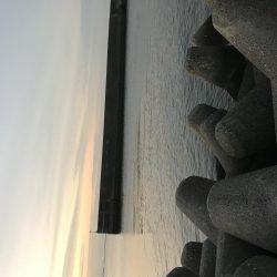 週末は場所取りが大変