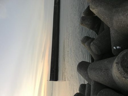 週末は場所取りが大変