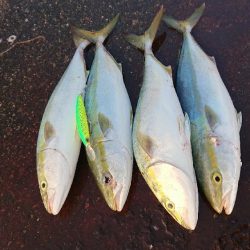 早起きしないと