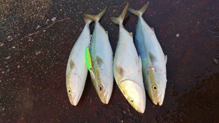 早起きしないと