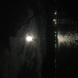 タチウオワンチャン