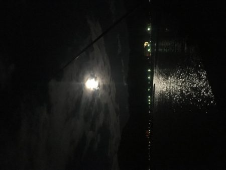 タチウオワンチャン