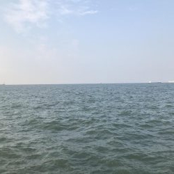 本拠地離れてタチウオ