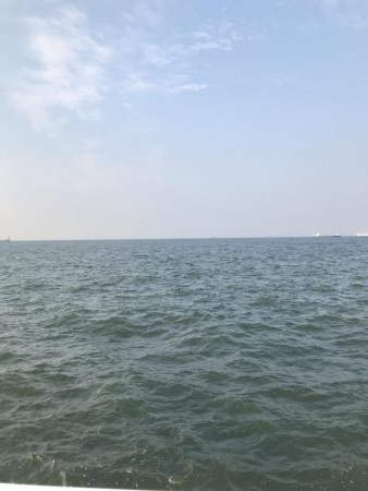 本拠地離れてタチウオ