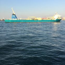 バイブレーションでタチウオ(ハリスなし笑)