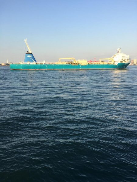 バイブレーションでタチウオ(ハリスなし笑)