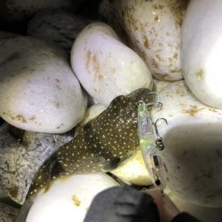 やっぱメバちゃん