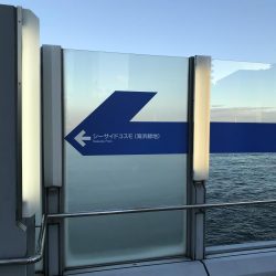 タチウオ キビナゴ