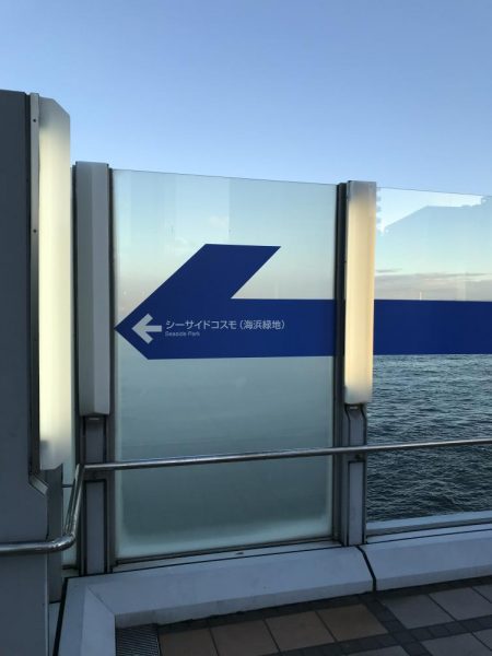 タチウオ キビナゴ