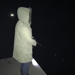 エギング アオリイカ