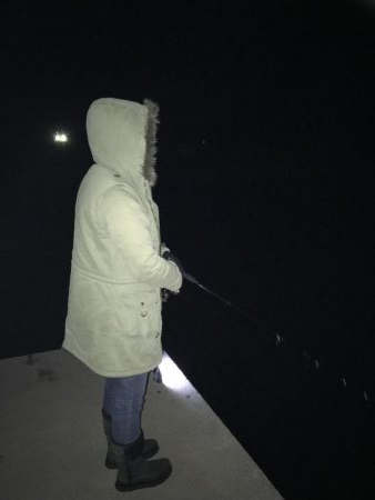 エギング アオリイカ