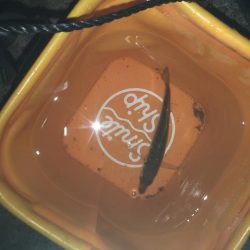 寒さ厳しい夜のアジング