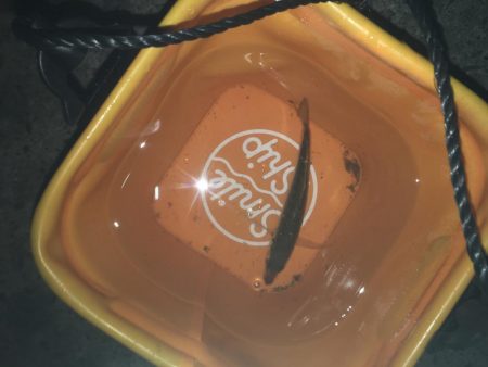 寒さ厳しい夜のアジング