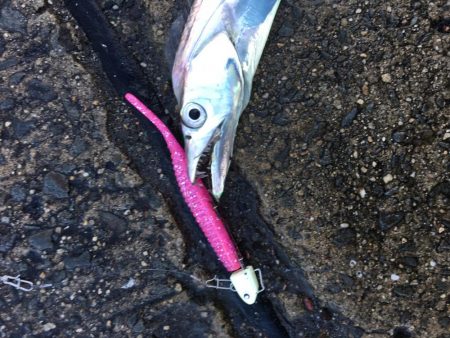 本日もフラップ縛り!!