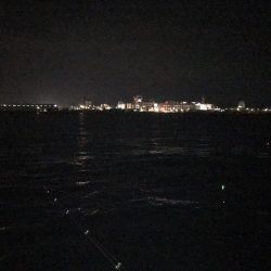 またもや、最初だけでした。