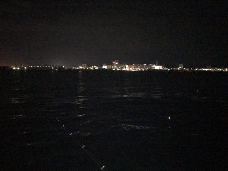 またもや、最初だけでした。