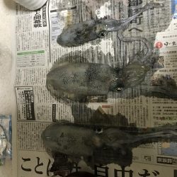 三連休ー松竹梅