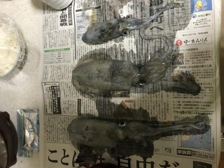 三連休ー松竹梅