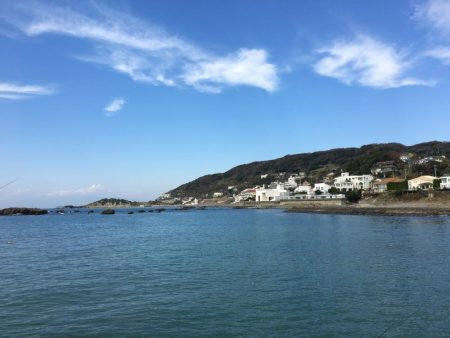 サビキでイワシ