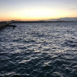 風が強く投げにくかったけど魚は居ます