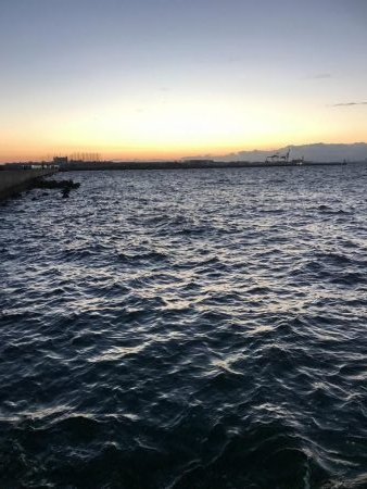 風が強く投げにくかったけど魚は居ます