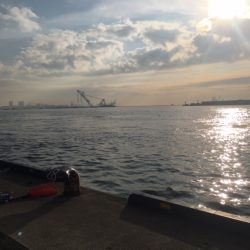 神戸港　小野浜辺りでタチウオ釣れました