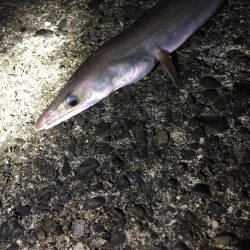 夜間の打ち込みにて