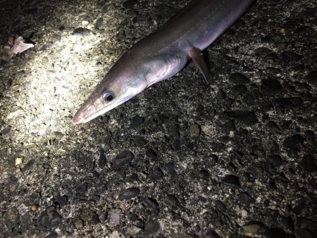 夜間の打ち込みにて