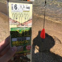 爆釣カワハギ！