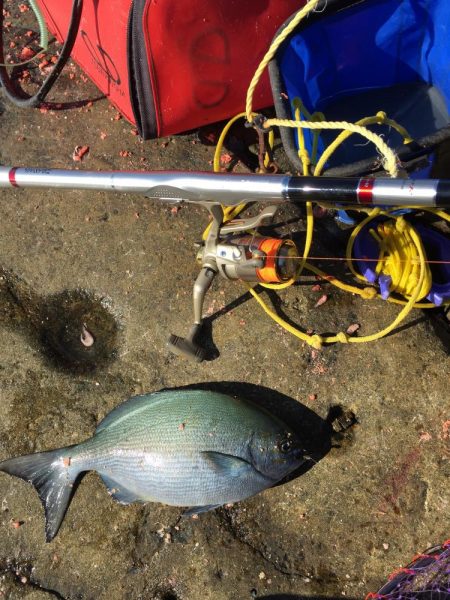 南紀 沖磯でフカセ釣り