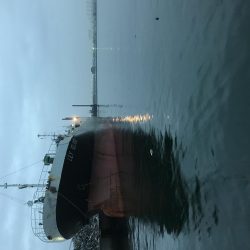 ショートバイトの中なんか