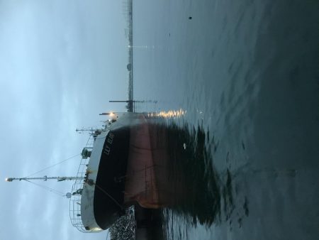 ショートバイトの中なんか