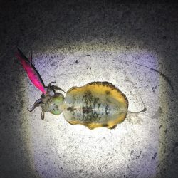 なんときんとかボーズ逃れ