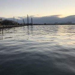 顔だけドラゴン