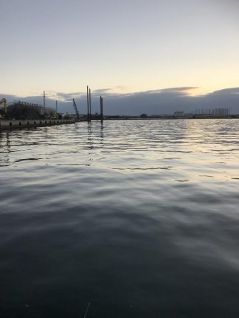 顔だけドラゴン